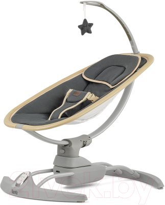 Изображение товара Детский шезлонг Nuovita Agio (дерево серый/графитовый)