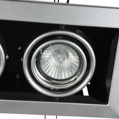 Точечный светильник Maytoni Metal Modern DL008-2-02-S