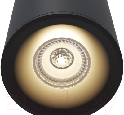 Потолочный светильник Maytoni Alfa C012CL-01B