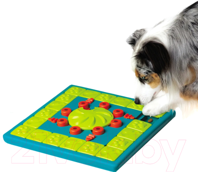 Игрушка для собак Nina Ottosson Multipuzzle 69663M