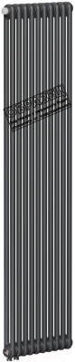 Радиатор стальной Rifar Tubog 2180-07-D1 (нижнее подключение, антрацит)