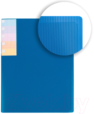 Папка для бумаг Darvish DV-0273S-BL (синий)