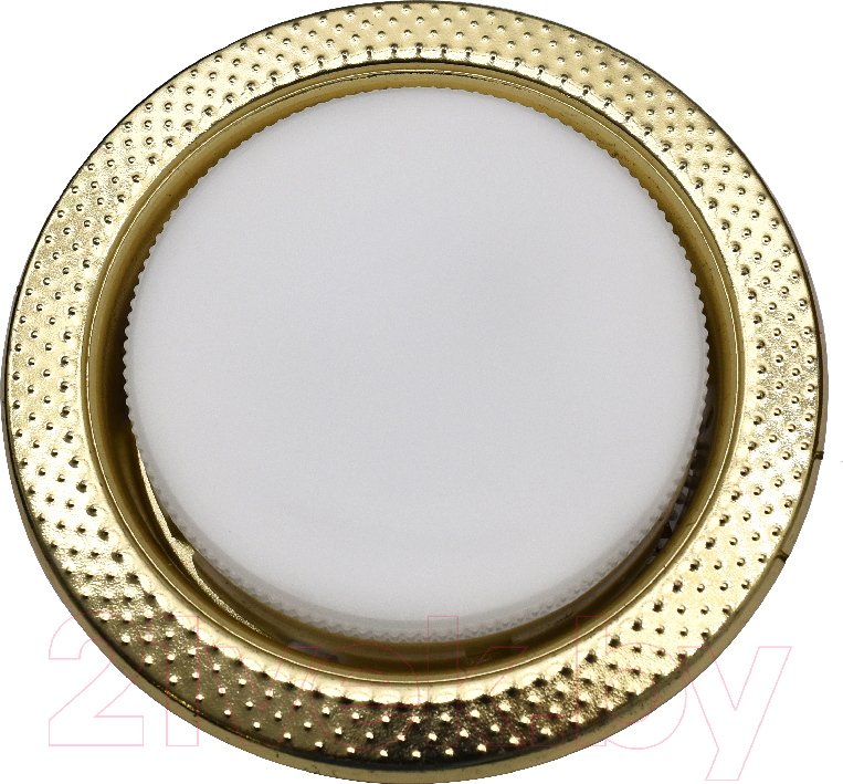 Точечный светильник General Lighting GCL-GX53-H38-G / 661214