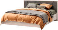 Двуспальная кровать Мебель-КМК 1600 Нирвана 1 2м КМК 0745 (ледяное дерево/камень серый) - 