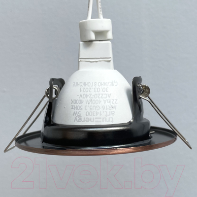 Комплект точечных светильников Truenergy 212034 (4шт)