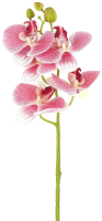 Искусственный цветок Gloria Garden Орхидея / 9180082 (розовый) - 