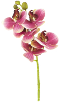 Искусственный цветок Gloria Garden Орхидея / 9180083 (бордовый) - 