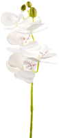 Искусственный цветок Gloria Garden Орхидея / 9180108 (белый) - 