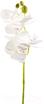 Искусственный цветок Gloria Garden Орхидея / 9180108 (белый)