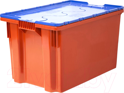 Ящик для хранения Эдванс Safe Pro 60x40x35 (красный/синяя крышка)