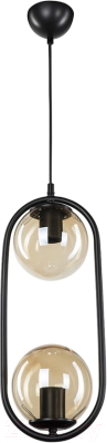 Потолочный светильник Toplight Kerrie TL1609H-02BK