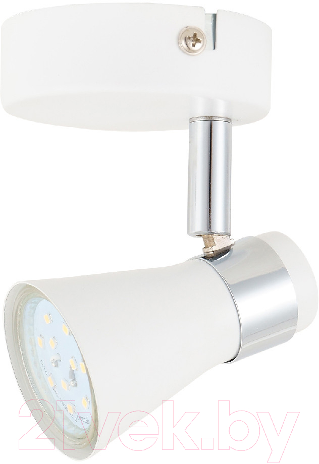 Спот Toplight Regina TL1258Y-01WC