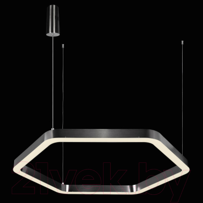 Потолочный светильник Loftit Titanium 10243M (Dark Grey)