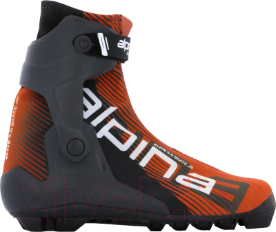 Ботинки для беговых лыж Alpina Sports E30 / 55832 (р-р 41, красный/белый/черный)