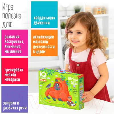 Развивающая игра Айрис-пресс IQ напольный. Африка и Азия 3+ / 9785811284146