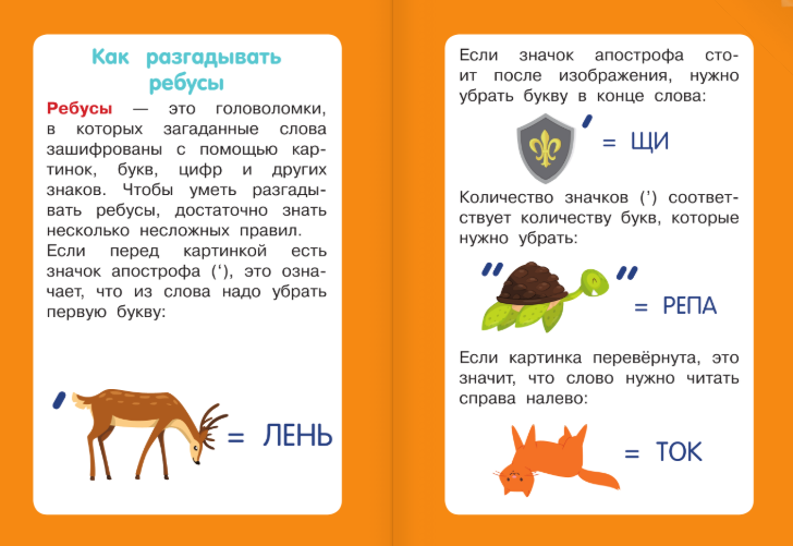Развивающие карточки АСТ Головоломки и ребусы. Для детей 5-7 лет, мягкая обложка (Дмитриева Валентина) — фото 2