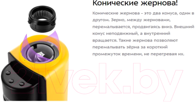 Кофемолка Kitfort KT-7209-1 (черный/желтый)