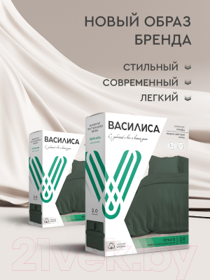 Комплект постельного белья ВАСИЛИСА 1.5 / 300220 (шторм)