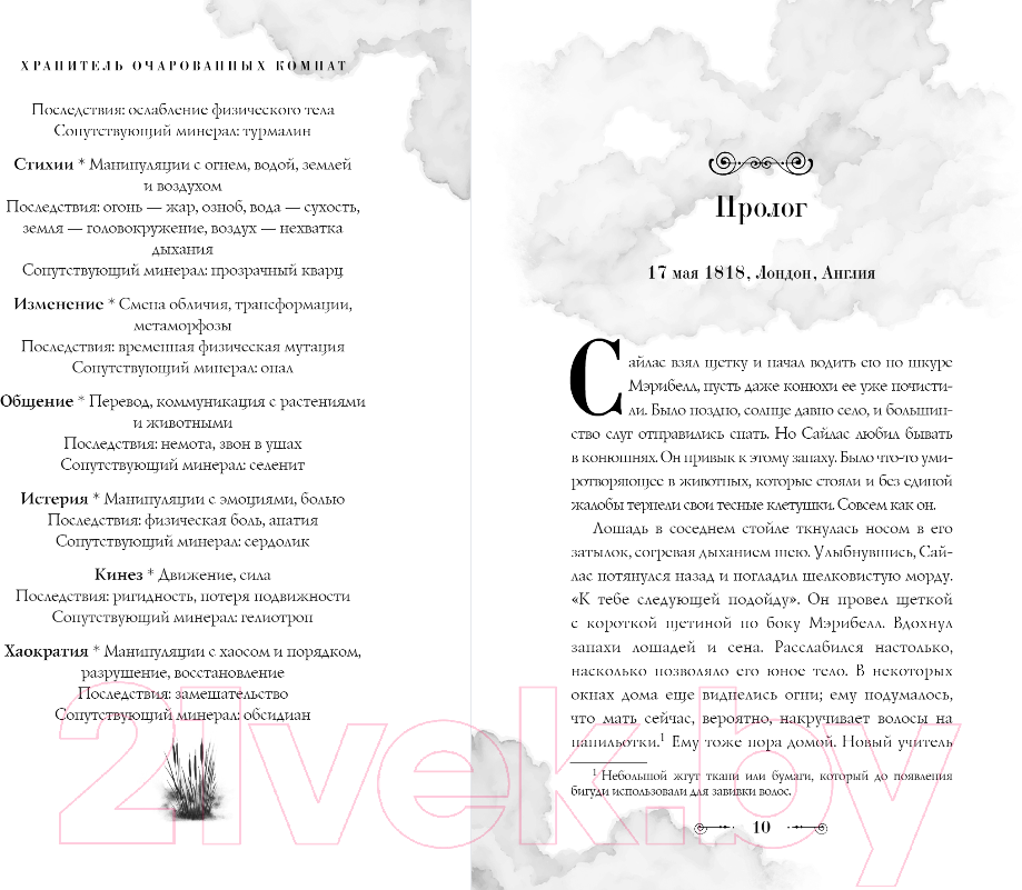 Художественная книга FreeDom Хранитель очарованных комнат / 9785041798161 (Хольмберг Ч.) — фото 6