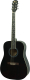 Акустическая гитара Aileen AF 29A (черный) - 