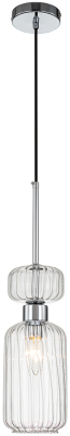 Потолочный светильник ESCADA Gloss 1141/1S (Chrome/Clear)