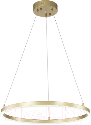 Потолочный светильник ESCADA Void 10254/1LED (Gold APP)