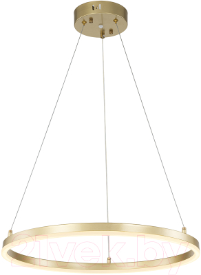 Потолочный светильник ESCADA Void 10254/1LED (Gold APP)