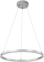 Потолочный светильник ESCADA Void 10254/1LED (Silver APP) - 
