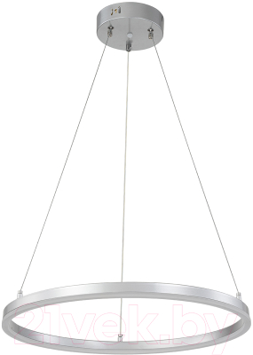 Потолочный светильник ESCADA Void 10254/1LED (Silver APP)