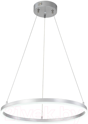 Потолочный светильник ESCADA Void 10254/1LED (Silver APP)