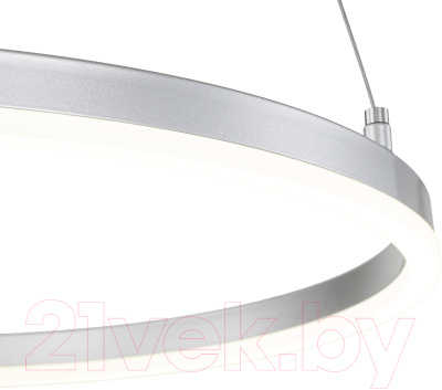 Потолочный светильник ESCADA Void 10254/1LED (Silver APP)