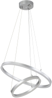 Потолочный светильник ESCADA Void 10254/2LED (Silver APP) - 