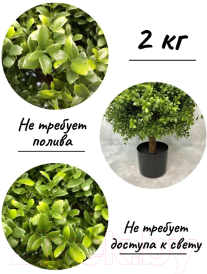 Искусственное растение Merry Bear Home Decor Самшит шаровидный / KM5305