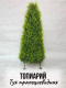 Миниатюра изображения товара Искусственное растение Merry Bear Home Decor Туя трапецевидная / KA0037