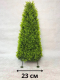 Миниатюра изображения товара Искусственное растение Merry Bear Home Decor Туя трапецевидная / KA0037