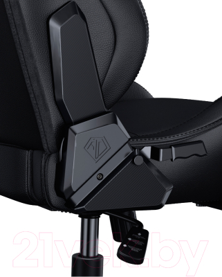 Кресло геймерское AndaSeat Kaiser Frontier / AD12Y-12-B-PV (черный)