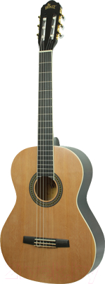 Акустическая гитара Aileen AC965H-39