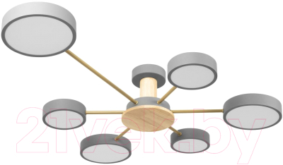 Потолочный светильник Loftit Sunrise 10316/6 (Grey)