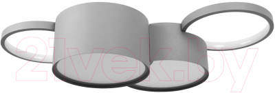 Потолочный светильник Loftit Pin 10317/4 (Grey)