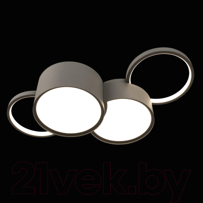 Потолочный светильник Loftit Pin 10317/4 (Grey)