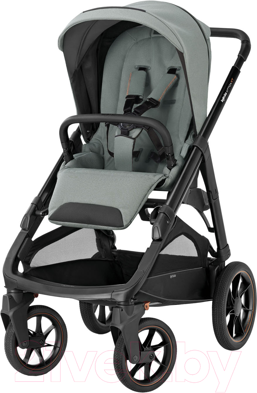 Детская прогулочная коляска Inglesina Aptica XT New / AG70R0IGG