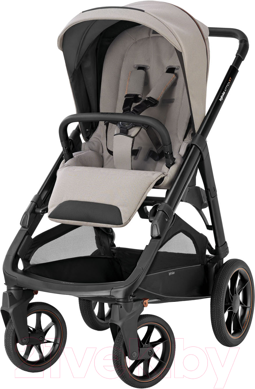 Детская прогулочная коляска Inglesina Aptica XT New / AG70R0TDB