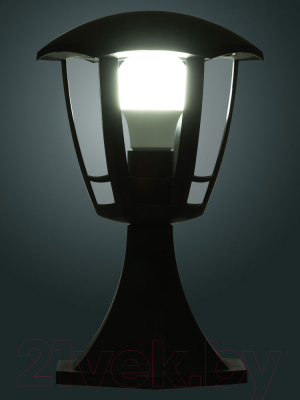 Светильник уличный TDM SQ0330-1309