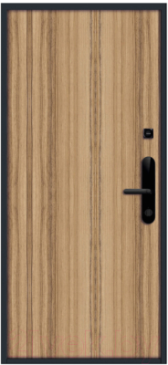 Входная дверь Nord Doors Амати 98x206 правая глухая (Slotex 3255/Bw)