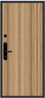 Входная дверь Nord Doors Амати 98x206 левая глухая (Slotex 3255/Bw)