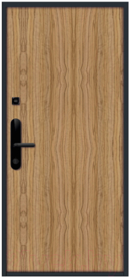 Входная дверь Nord Doors Амати 98x206 левая глухая (Slotex 3213/P)