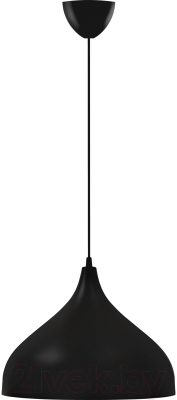 Потолочный светильник TDM SQ0313-0049