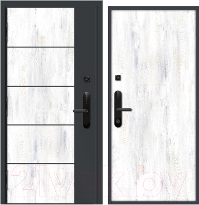 Входная дверь Nord Doors Амати 98x206 левая глухая (Slotex 3861/Rw)
