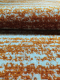 Ковер Mafy 5202 Latchi 153x213 / MF-00070 (оранжевый) - 