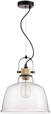 

Потолочный светильник Maytoni, Irving T163PL-01W
